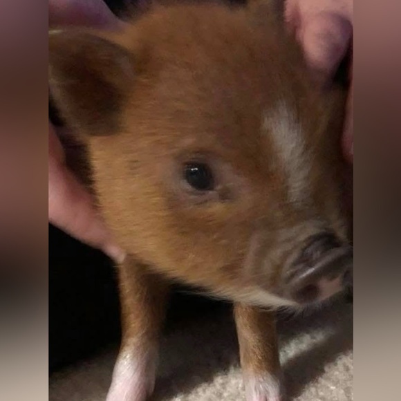 Share show! Share what you like - Picture 6 of 14